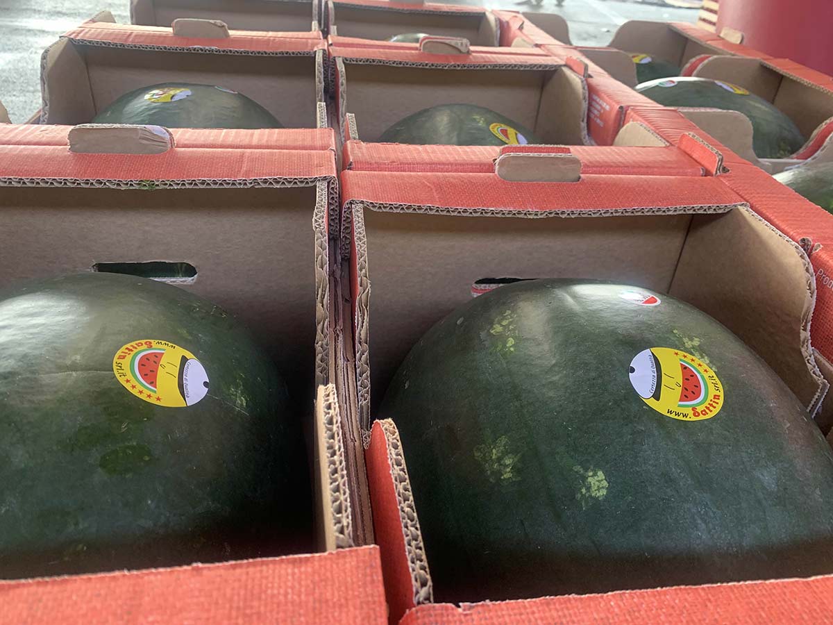 Angurie Origine Marocco prezzo 1,40-1,60 €/Kg